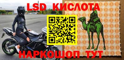 шишки Бийск