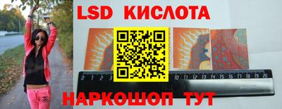 шишки Бийск