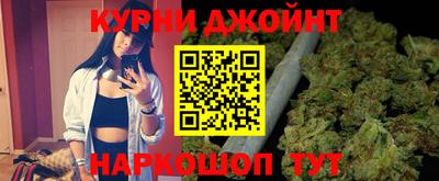 шишки Бийск