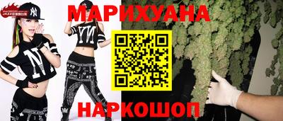 шишки Бийск