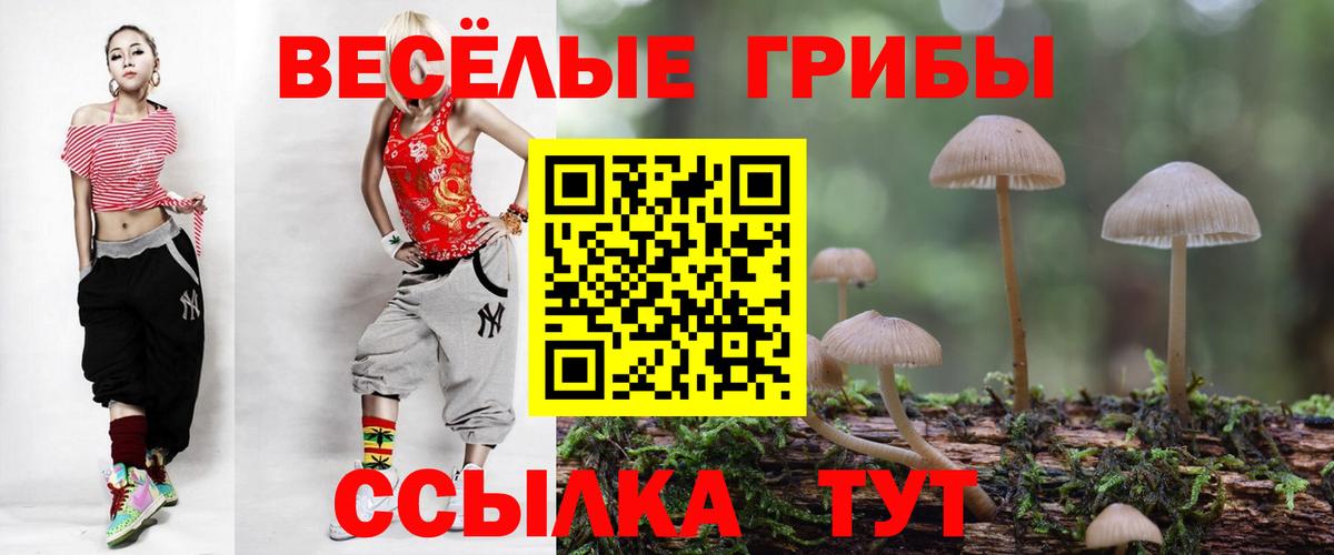 цены наркотик  Галлюциногенные грибы GOLDEN TEACHER  Псилоцибиновые грибы мицелий  Вход с VPN  Воркута 